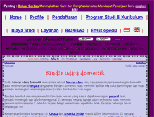 Tablet Screenshot of domestik.org